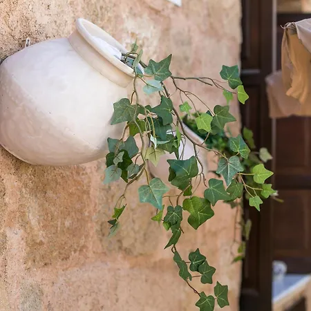 Kamara Antica *